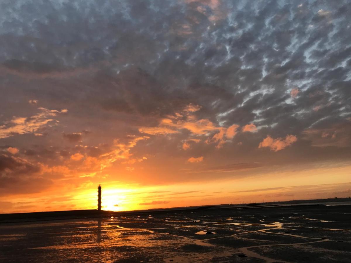 Artistiek Vakantiehuisje Hulst Bagian luar foto