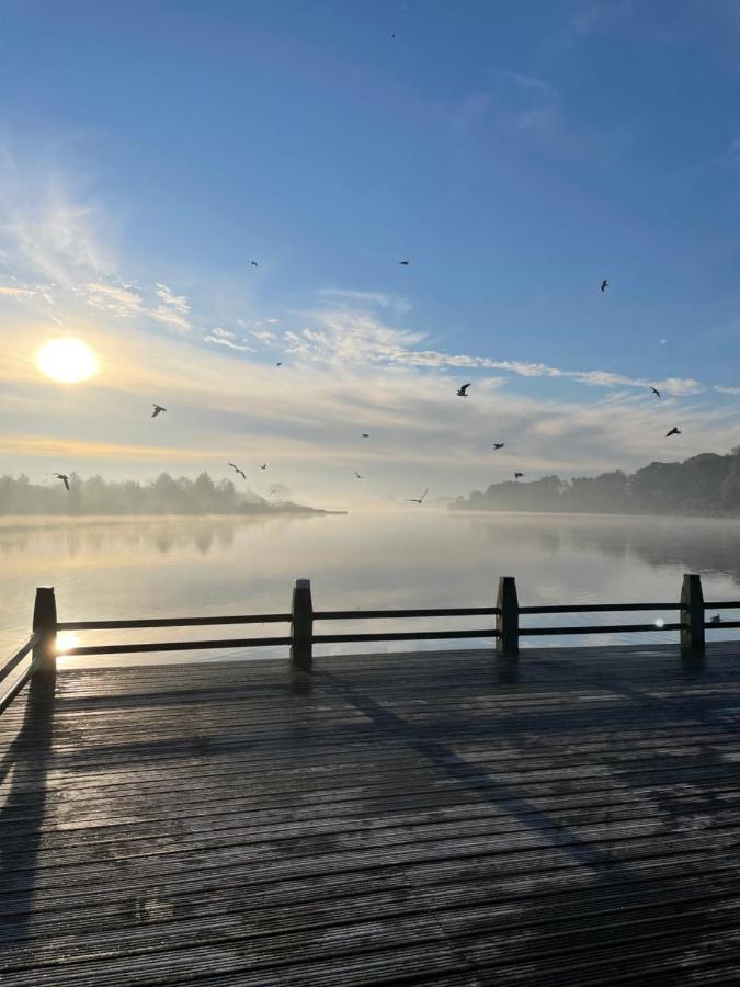Artistiek Vakantiehuisje Hulst Bagian luar foto