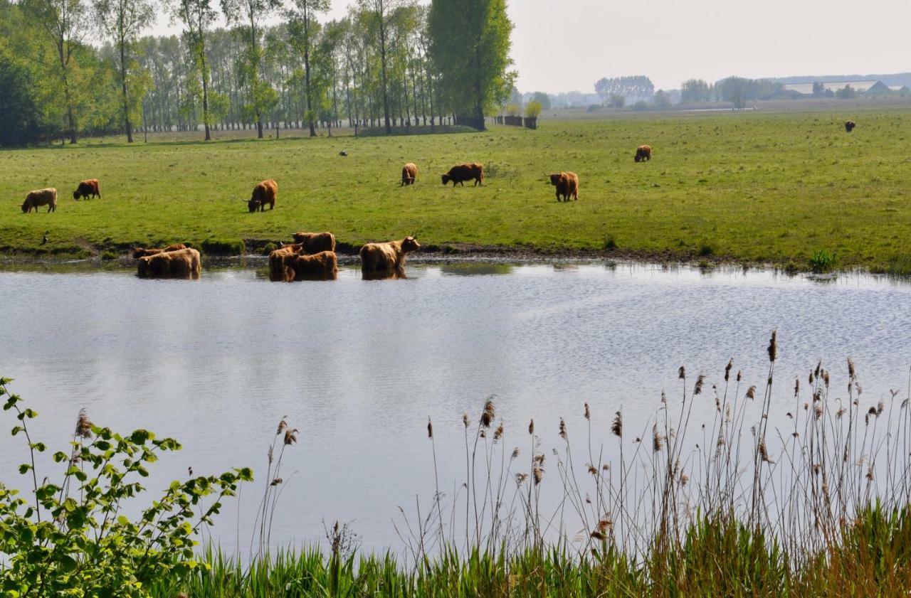 Artistiek Vakantiehuisje Hulst Bagian luar foto