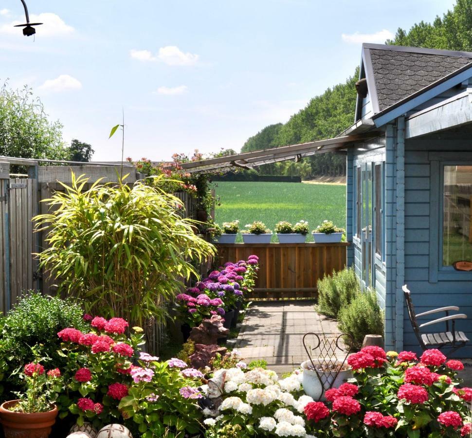 Artistiek Vakantiehuisje Hulst Bagian luar foto